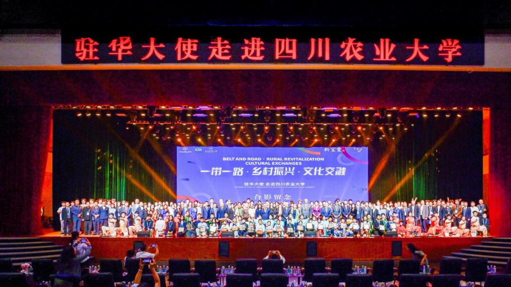 11国4_1766048047370.png