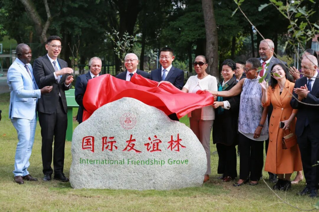 11国1_1766048015640.png