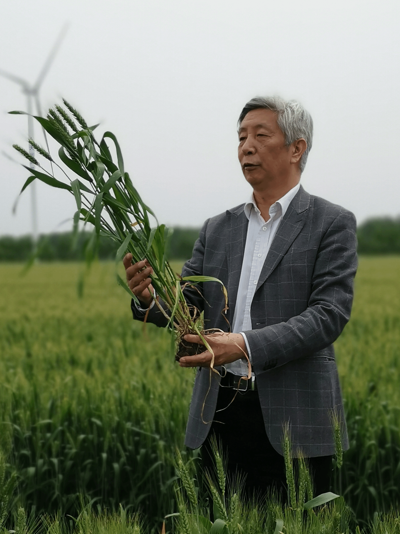 田世平