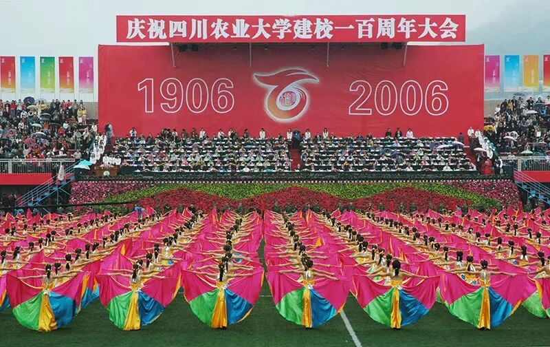 5_1768320437663.jpg